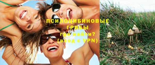 прущая мука Богданович