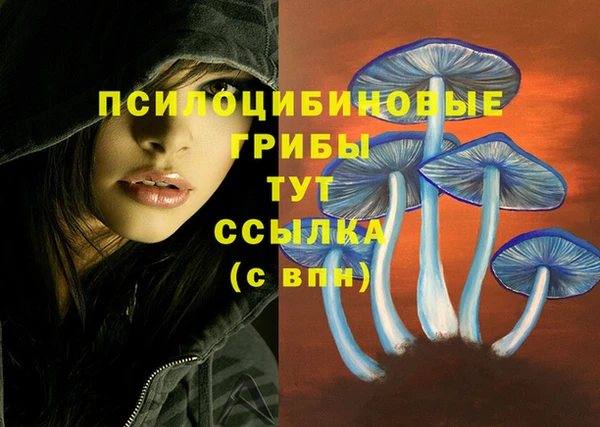 мефедрон Богородицк