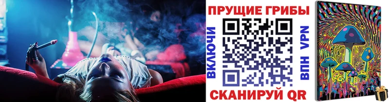 мега ссылка  наркота  Верещагино  Псилоцибиновые грибы Psilocybine cubensis 